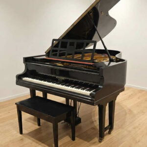 NIENDORF DE COLA (OFERTA)