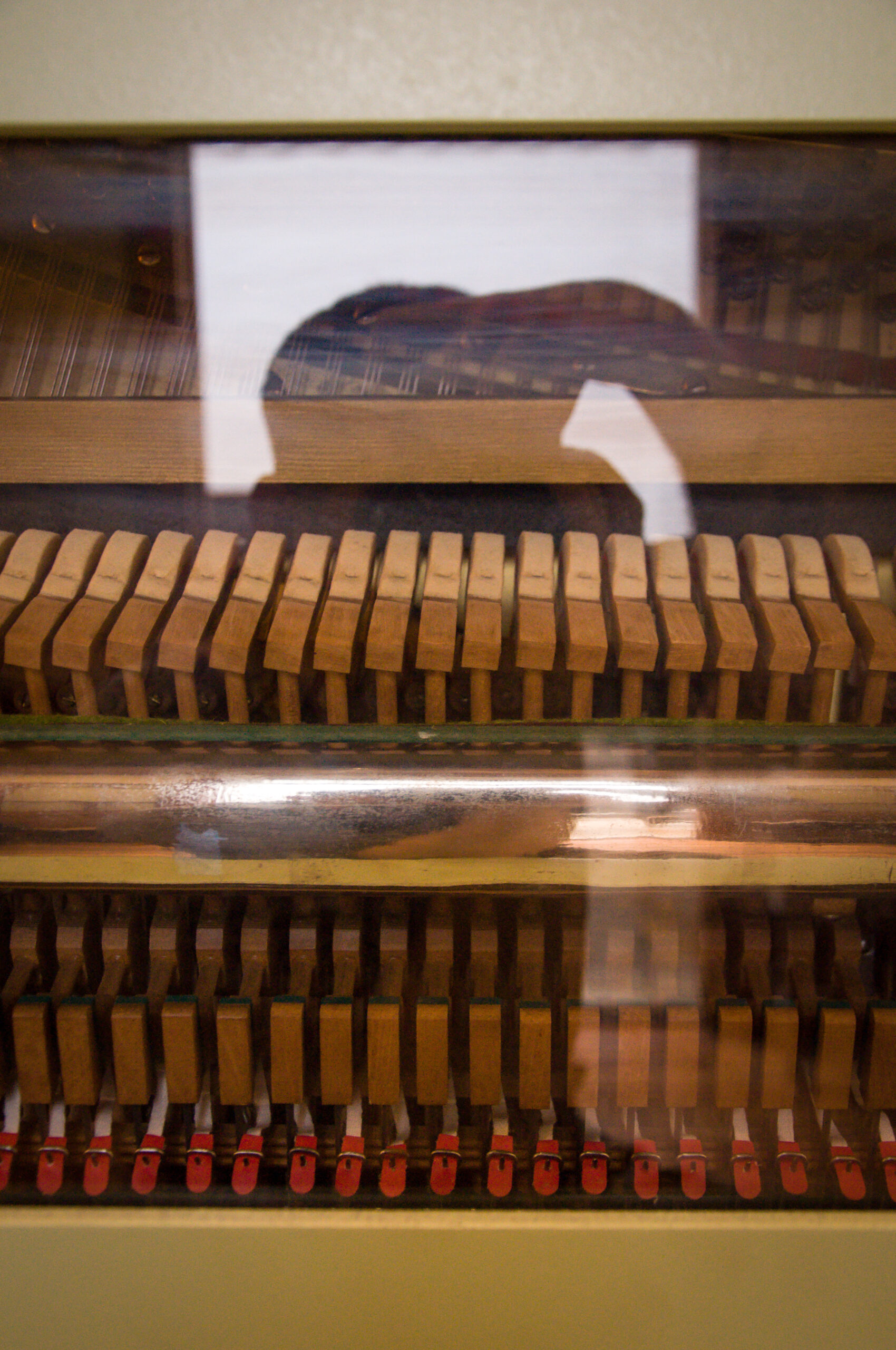 Karl Schultz piano gris