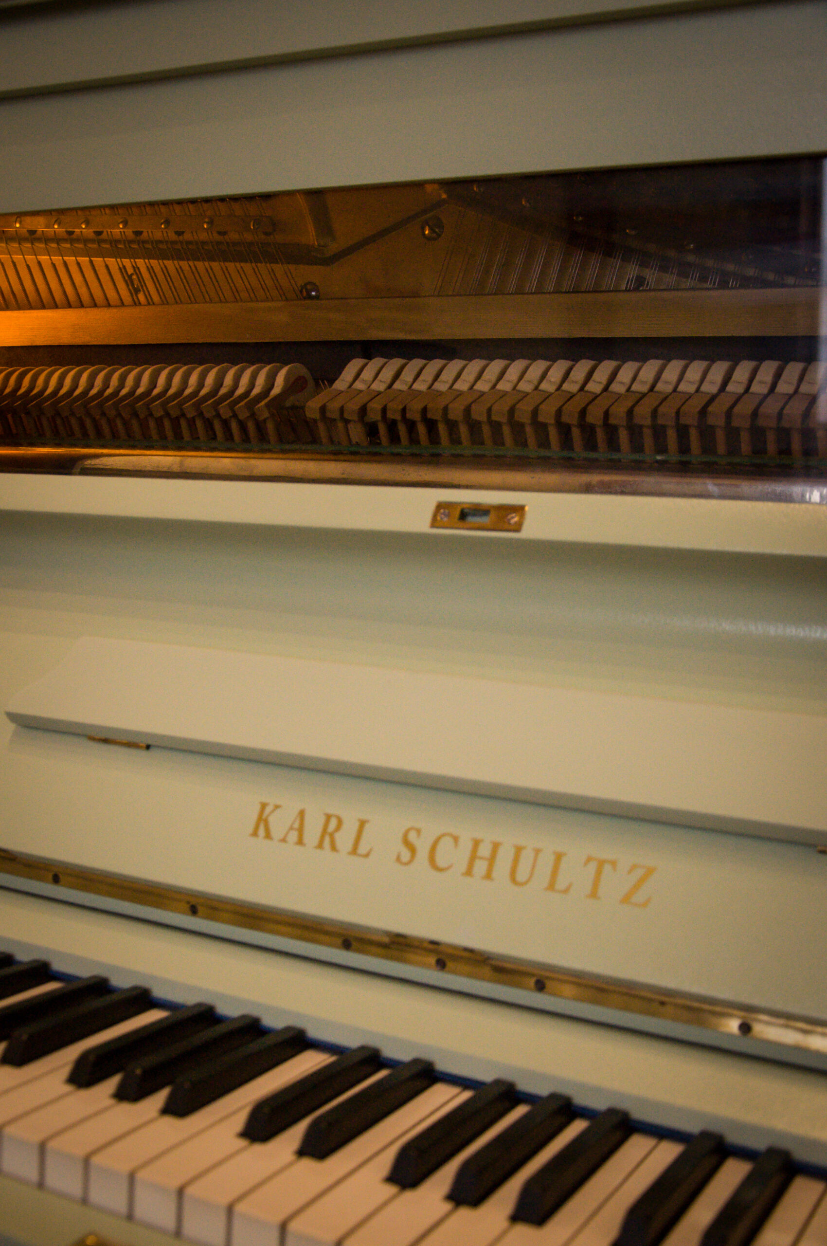 Karl Schultz piano gris