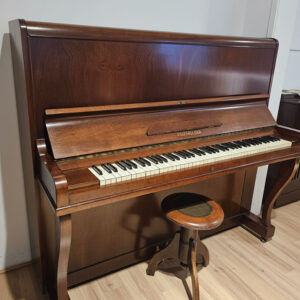 ESSENFELDER (OFERTA)