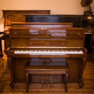 SAMICK SM-110 (284)