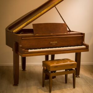 PLEYEL 1/4 DE COLA (272)