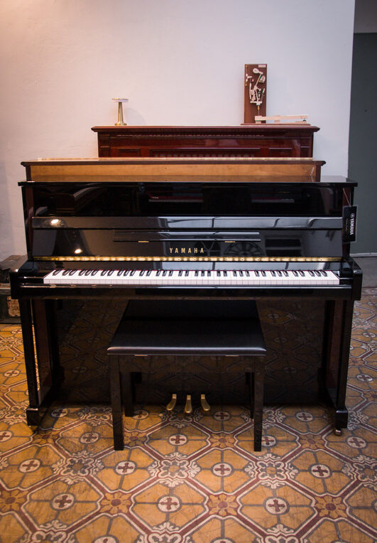 YAMAHA JX-113 (290)