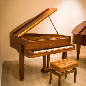 PLEYEL 1/4 DE COLA (272)