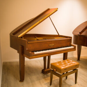 PLEYEL 1/4 DE COLA (272)