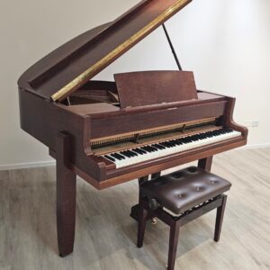 Pleyel piano de cola