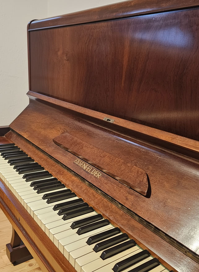 ESSENFELDER (OFERTA) - Imagen 2