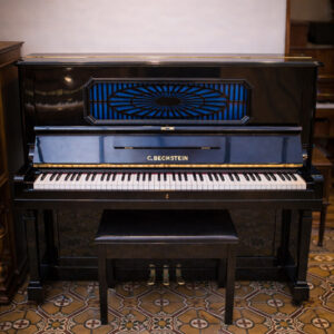 BECHSTEIN MODELO '8' (222)