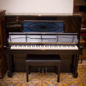 BECHSTEIN MODELO '8' (222)