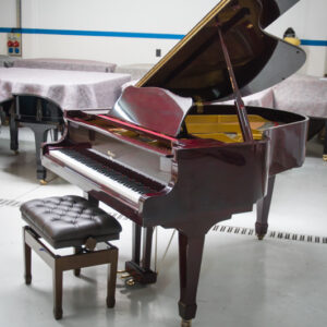WEBER G-175 DE COLA (286)