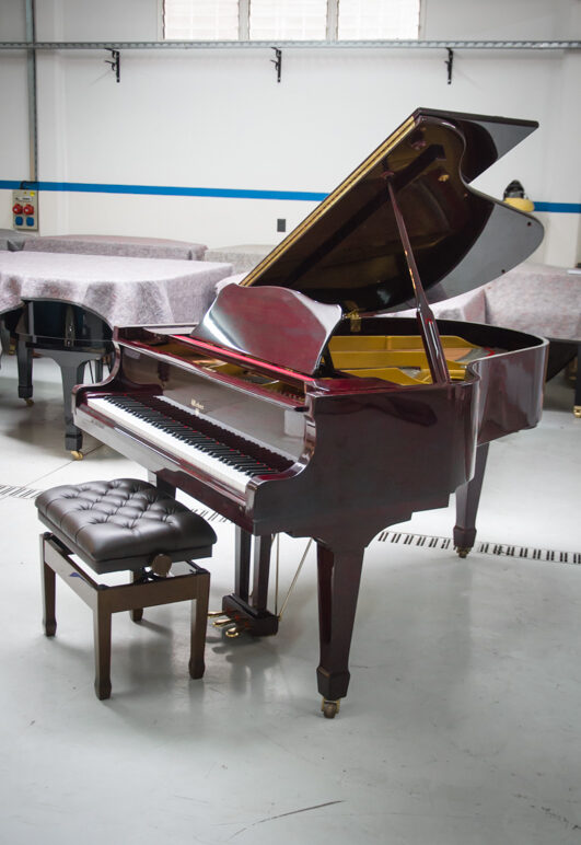 WEBER G-175 DE COLA (286)