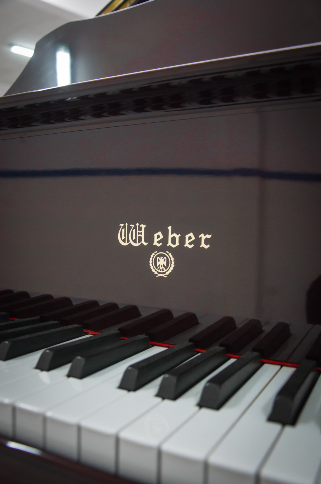 WEBER G-175 DE COLA (286) - Imagen 8