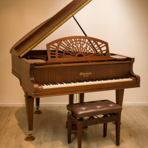 GAVEAU 1/4 DE COLA (252)