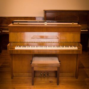 ZIMMERMANN MINI (306)