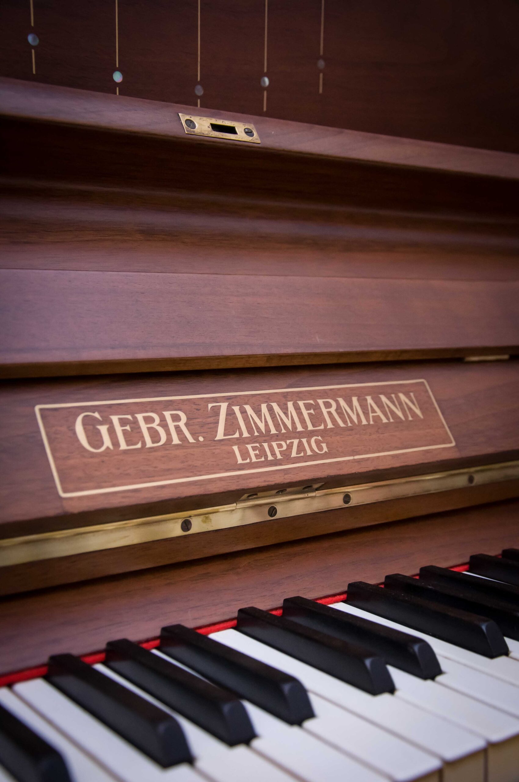 ZIMMERMANN (162) - Imagen 10