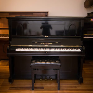 ZEITTER & WINKELMANN NEGRO (255)