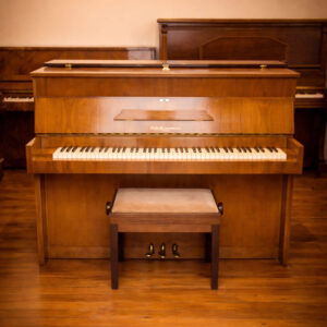 ZIMMERMANN MINI (306)