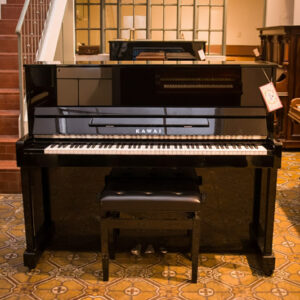 KAWAI ND-21 (318)