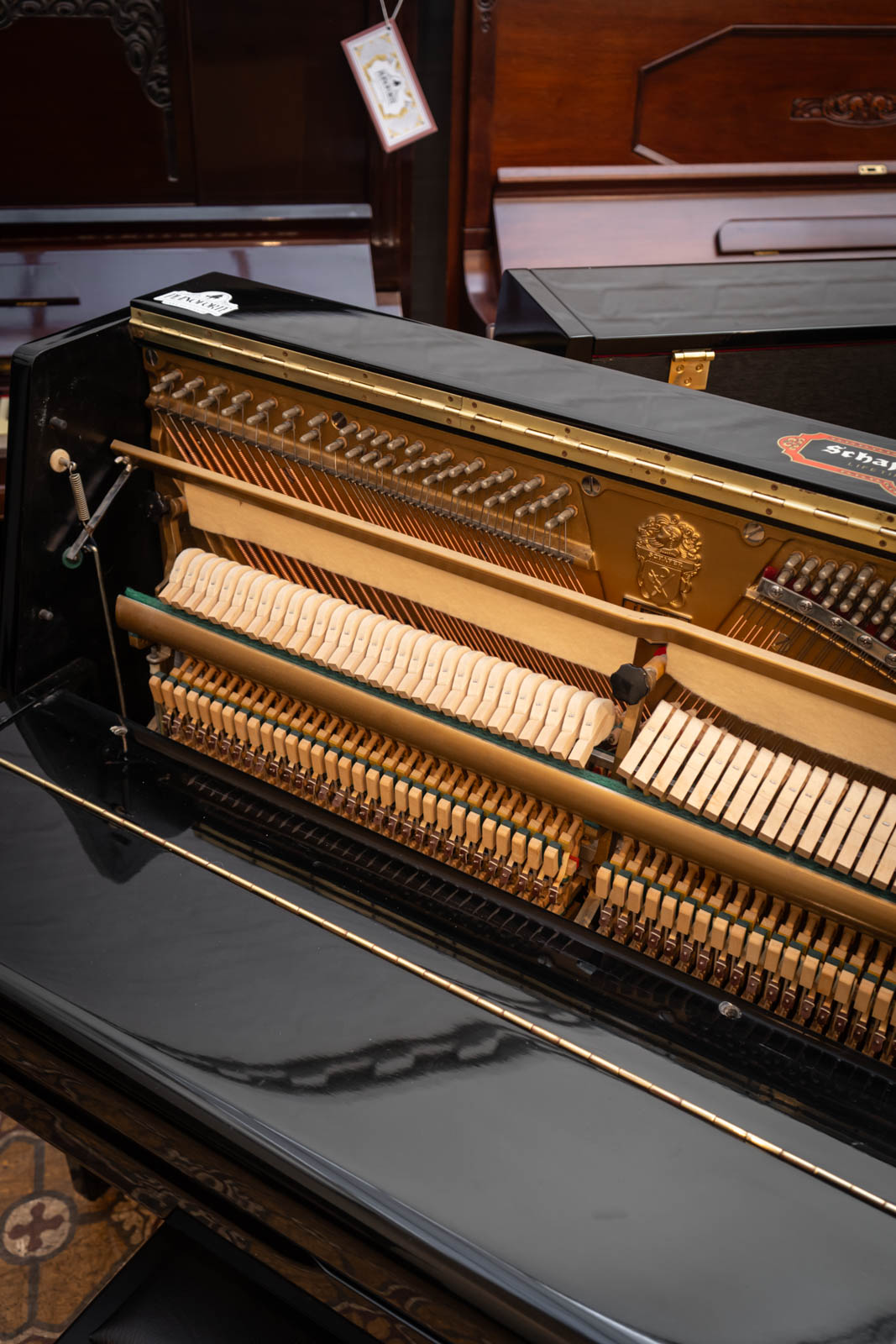 SCHAFER AND SONS (343) - Imagen 8