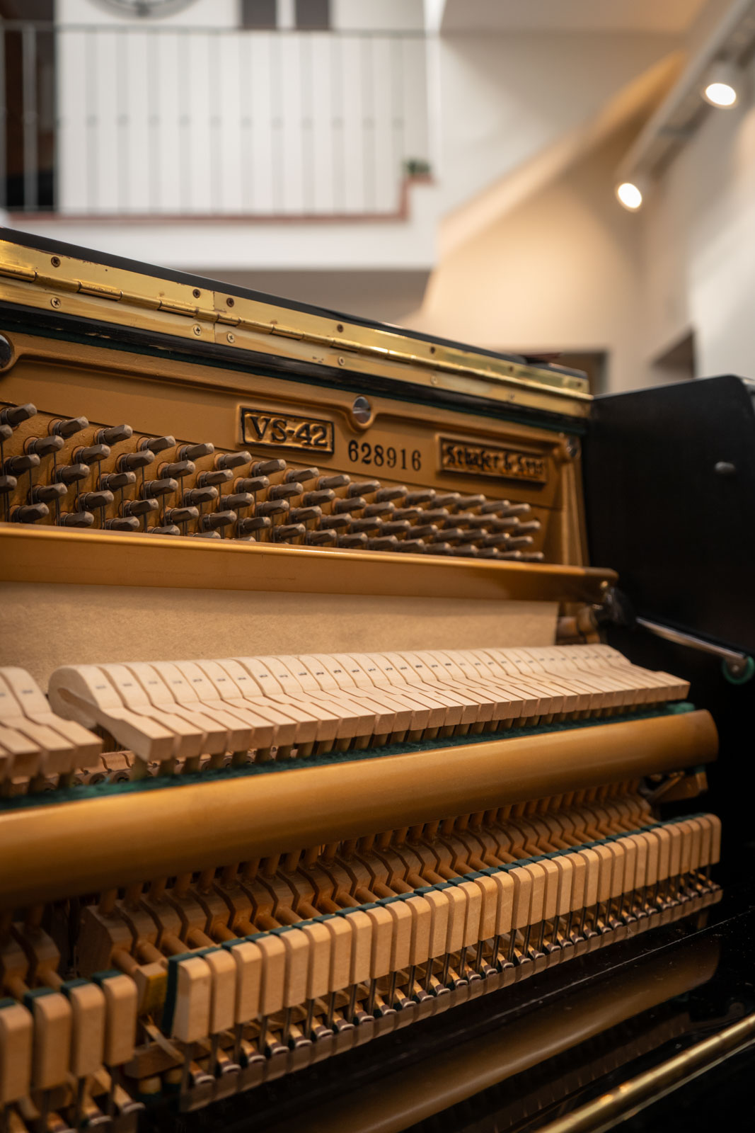 SCHAFER AND SONS (343) - Imagen 10