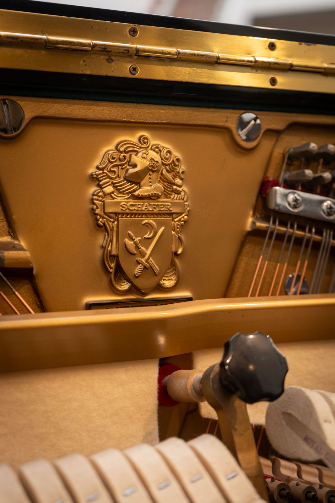 SCHAFER AND SONS (343) - Imagen 11