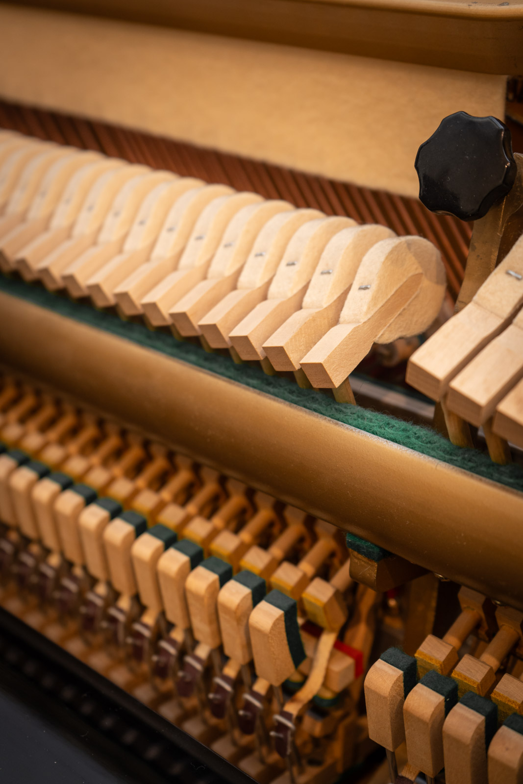 SCHAFER AND SONS (343) - Imagen 12
