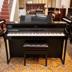 ROLAND HP-704 DIGITAL (358)